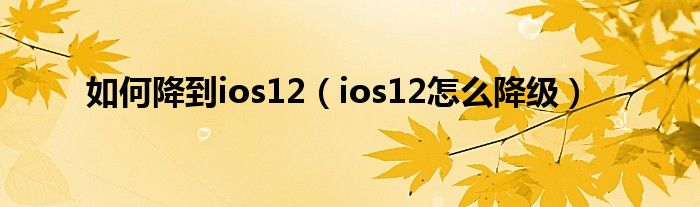 如何降到ios12（ios12怎么降级）