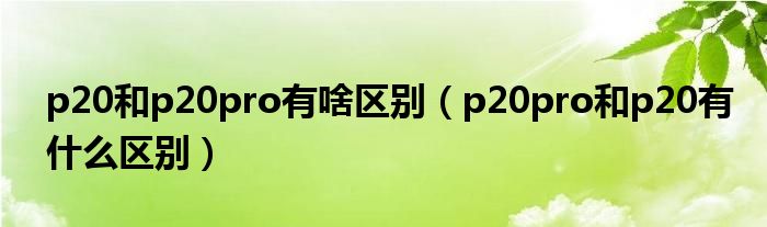 p20和p20pro有啥区别（p20pro和p20有什么区别）