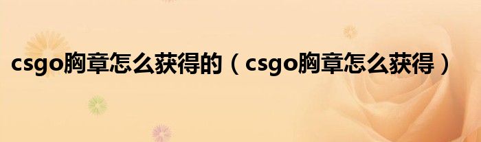 csgo胸章怎么获得的（csgo胸章怎么获得）