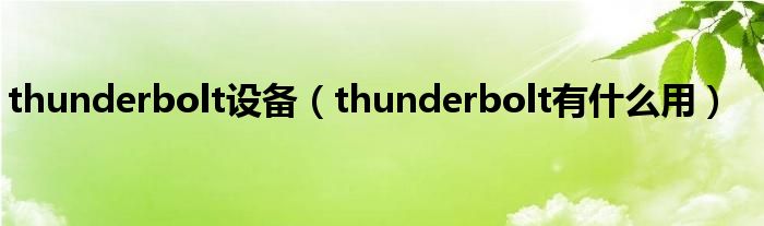 thunderbolt设备（thunderbolt有什么用）