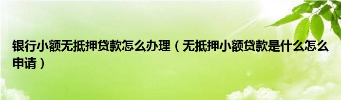 银行小额无抵押贷款怎么办理（无抵押小额贷款是什么怎么申请）