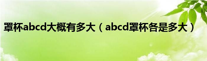 罩杯abcd大概有多大（abcd罩杯各是多大）