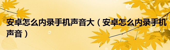 安卓怎么内录手机声音大（安卓怎么内录手机声音）