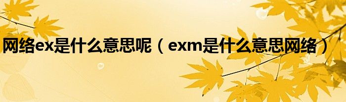 网络ex是什么意思呢（exm是什么意思网络）