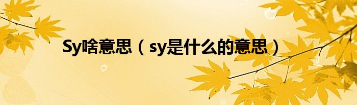 Sy啥意思（sy是什么的意思）