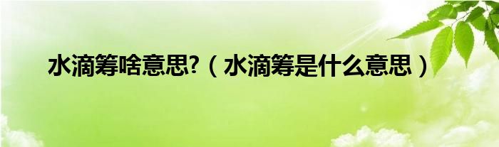 水滴筹啥意思?（水滴筹是什么意思）