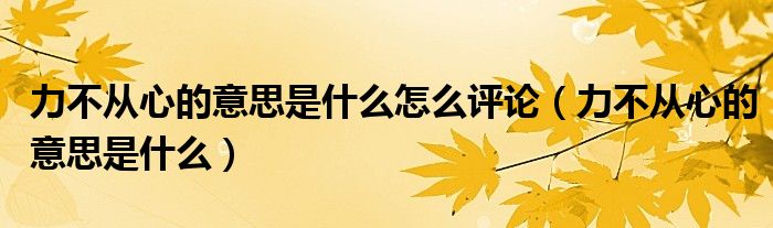 力不从心的意思是什么怎么评论（力不从心的意思是什么）