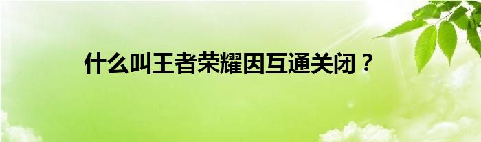 什么叫王者荣耀因互通关闭？