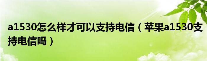 a1530怎么样才可以支持电信（苹果a1530支持电信吗）