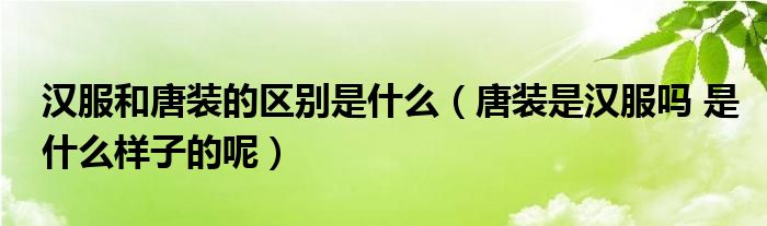 汉服和唐装的区别是什么（唐装是汉服吗 是什么样子的呢）