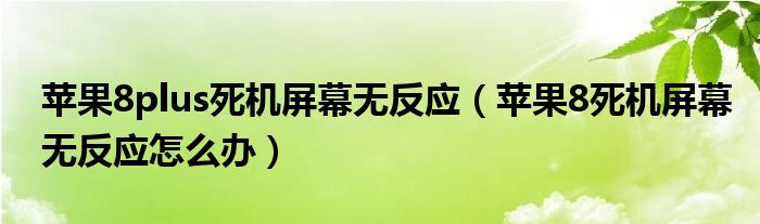 苹果8plus死机屏幕无反应（苹果8死机屏幕无反应怎么办）