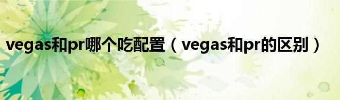 vegas和pr哪个吃配置（vegas和pr的区别）