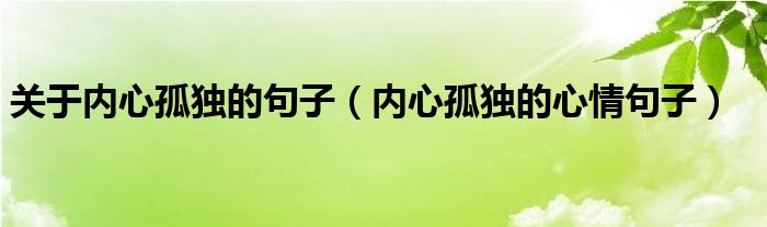 关于内心孤独的句子（内心孤独的心情句子）