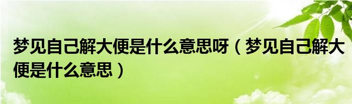 梦见自己解大便是什么意思呀（梦见自己解大便是什么意思）