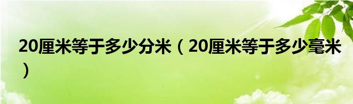 20厘米等于多少分米（20厘米等于多少毫米）