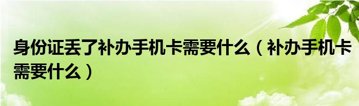 身份证丢了补办手机卡需要什么（补办手机卡需要什么）