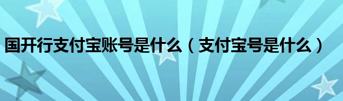 国开行支付宝账号是什么（支付宝号是什么）