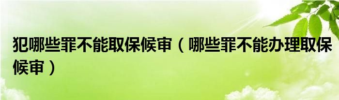 犯哪些罪不能取保候审（哪些罪不能办理取保候审）