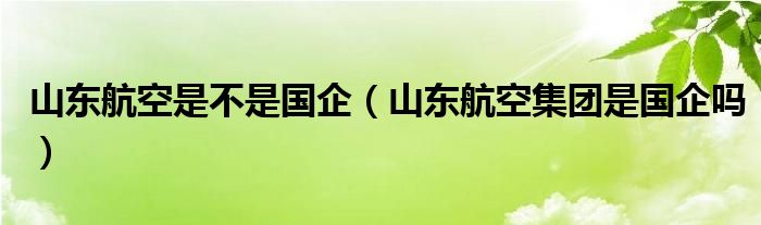 山东航空是不是国企（山东航空集团是国企吗）