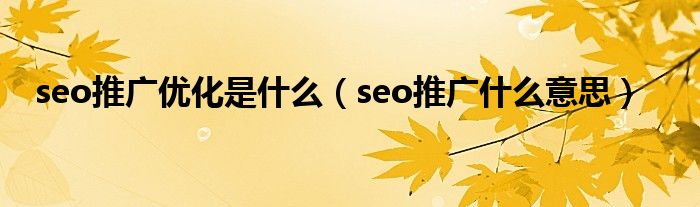 seo推广优化是什么（seo推广什么意思）