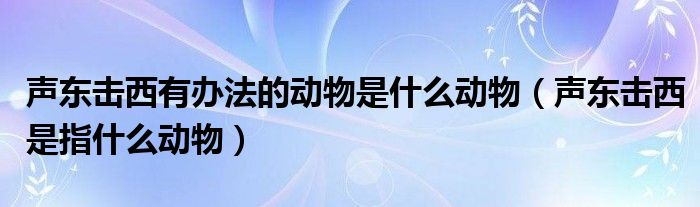 声东击西有办法的动物是什么动物（声东击西是指什么动物）