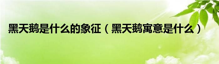 黑天鹅是什么的象征（黑天鹅寓意是什么）