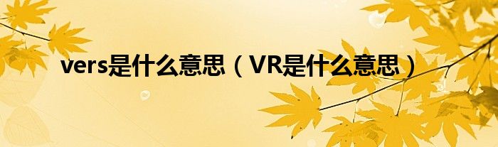 vers是什么意思（VR是什么意思）