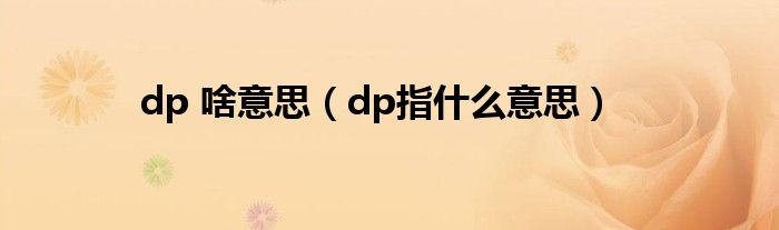 dp 啥意思（dp指什么意思）