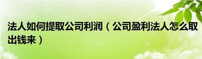 法人如何提取公司利润（公司盈利法人怎么取出钱来）