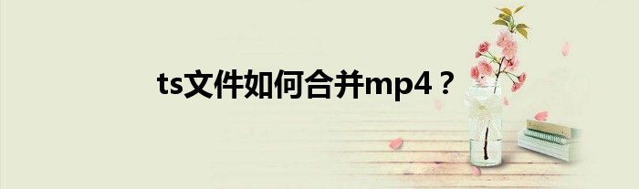 ts文件如何合并mp4？