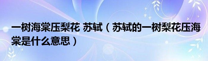 一树海棠压梨花 苏轼（苏轼的一树梨花压海棠是什么意思）