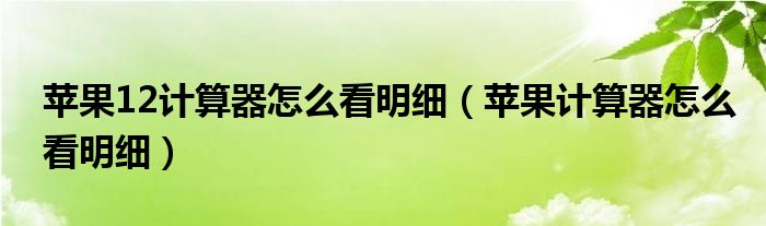 苹果12计算器怎么看明细（苹果计算器怎么看明细）