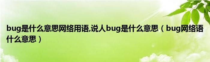 bug是什么意思网络用语,说人bug是什么意思（bug网络语什么意思）