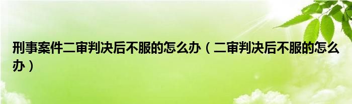 刑事案件二审判决后不服的怎么办（二审判决后不服的怎么办）