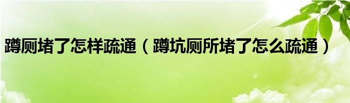 蹲厕堵了怎样疏通（蹲坑厕所堵了怎么疏通）