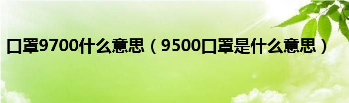 口罩9700什么意思（9500口罩是什么意思）