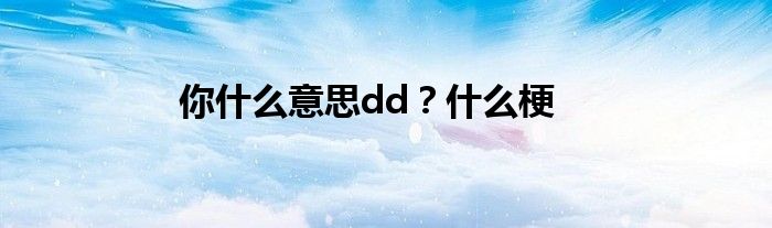 你什么意思dd？什么梗