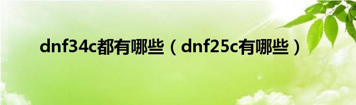 dnf34c都有哪些（dnf25c有哪些）