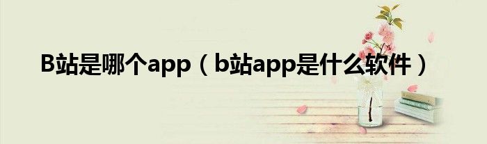 B站是哪个app（b站app是什么软件）