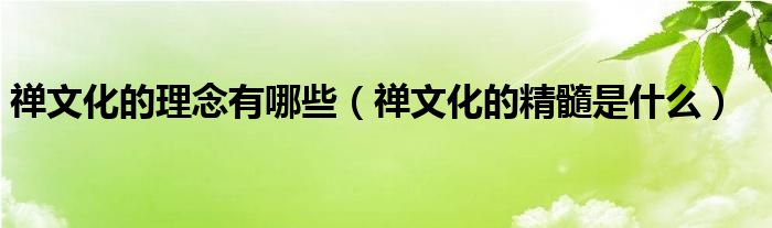 禅文化的理念有哪些（禅文化的精髓是什么）