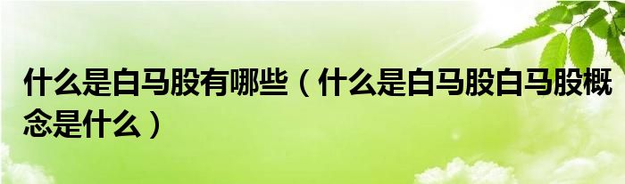 什么是白马股有哪些（什么是白马股白马股概念是什么）