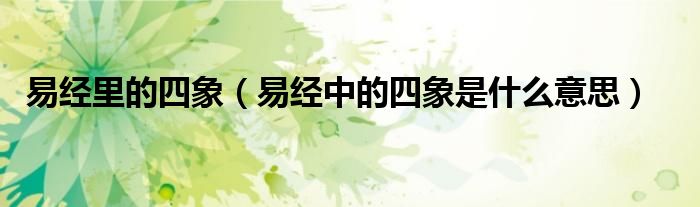 易经里的四象（易经中的四象是什么意思）