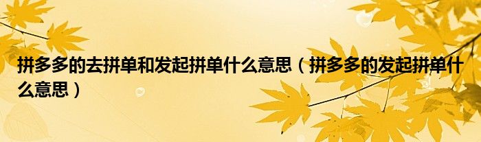 拼多多的去拼单和发起拼单什么意思（拼多多的发起拼单什么意思）