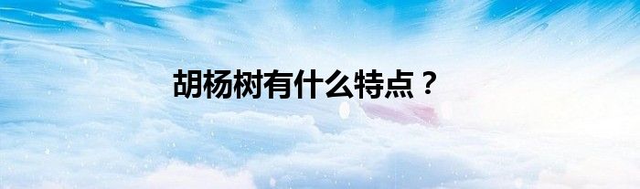 胡杨树有什么特点？