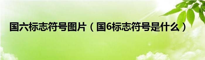 国六标志符号图片（国6标志符号是什么）