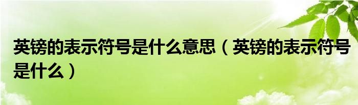 英镑的表示符号是什么意思（英镑的表示符号是什么）