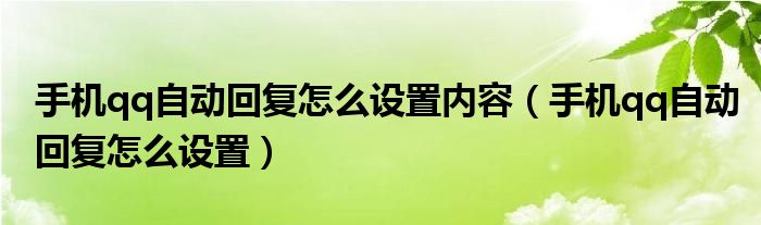 手机qq自动回复怎么设置内容（手机qq自动回复怎么设置）