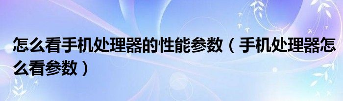 怎么看手机处理器的性能参数（手机处理器怎么看参数）