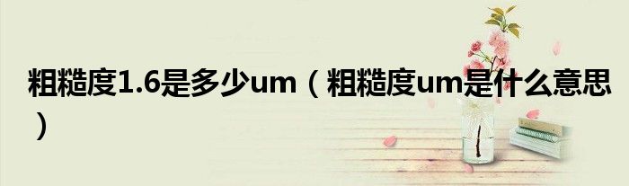 粗糙度1.6是多少um（粗糙度um是什么意思）