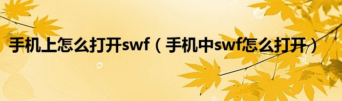 手机上怎么打开swf（手机中swf怎么打开）